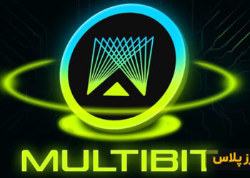 Multibit Price Prediction