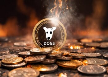 dogs-airdrop-is-officially-over