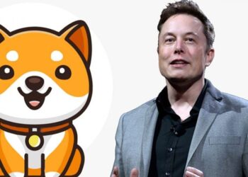 Baby-Doge-Coin-surges-