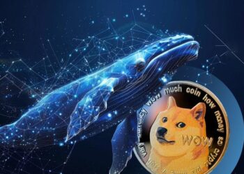 doge-whales-accumulate-coin-buy-signa