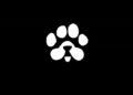 paws-claim-date-and-listing-details