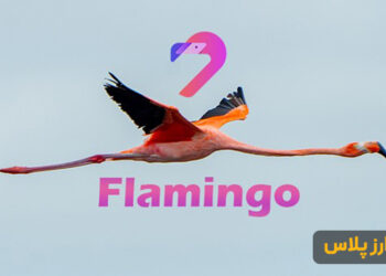 what-is-Flamingo-FLM