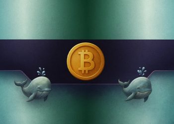 خرید در ریزش توسط نهنگ‌ها و پیش‌بینی قیمت بیت کوین!