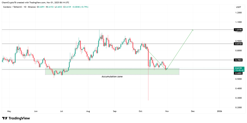 exchange-outflows-ada-whales-prepare-for-1-dollar