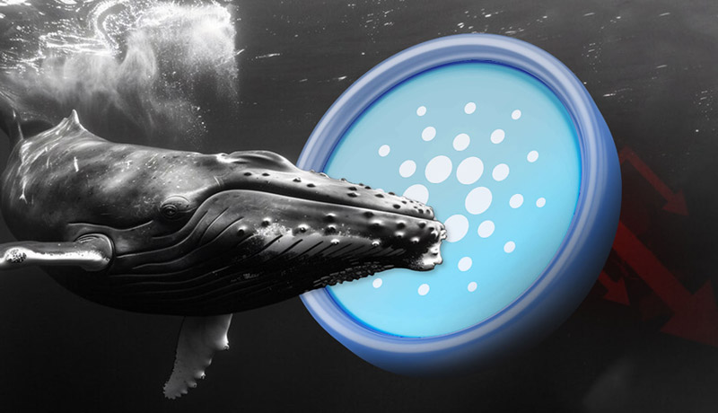 exchange-outflows-ada-whales-prepare-for-1-dollar