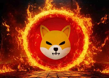 shiba-inu-1993-burn-target-0-0000176-