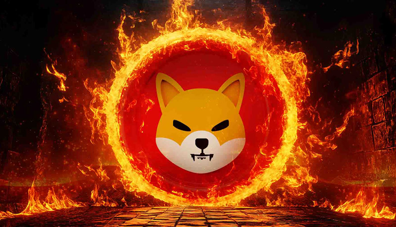 shiba-inu-1993-burn-target-0-0000176-