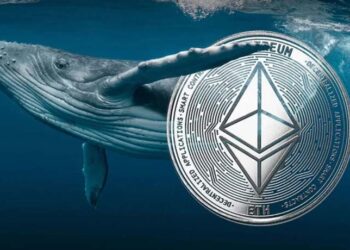 ethereum-price-fall-whale-accumulation-