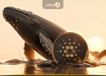 انباشت بی‌سروصدای نهنگ‌ها در بازار کاردانو؛ آیا ADA آماده بازگشت به دوران طلایی است؟