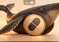 انباشت ۳.۶ میلیون دلاری نهنگ‌های پامپ.فان؛ صدر جدول پرسودترین‌ها به PUMP رسید